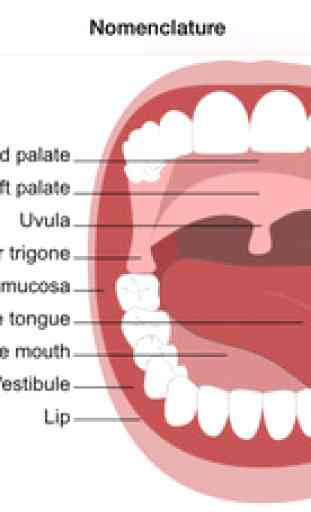 DentAdvisor: Oral Care Expert 4
