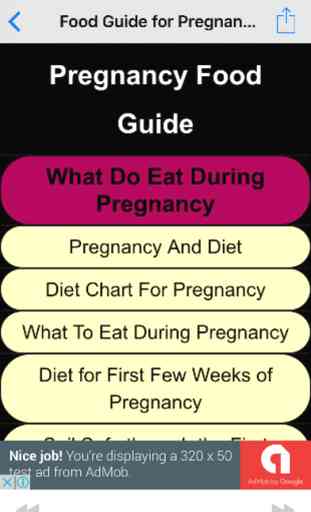 Food Guide for Pregnant Women - Pregnancy Diet & Pregnancy Health Tips 1