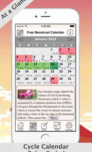 Free Menstrual Calendar For Periods and Ovulations 2