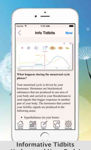 Free Menstrual Calendar For Periods and Ovulations 3