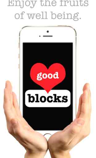 Good Blocks: Improve Your Mood, Self Esteem and Body Image! 4