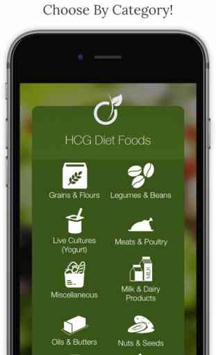 HCG Diet Foods 3