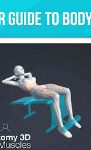 Human Anatomy 3D - Bodybuilding Workout 1