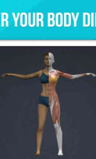 Human Anatomy 3D - Bodybuilding Workout 3