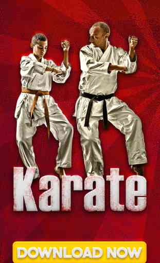 Karate TKD Martial Arts - Black Belt Kumite Kempo Sparring 1