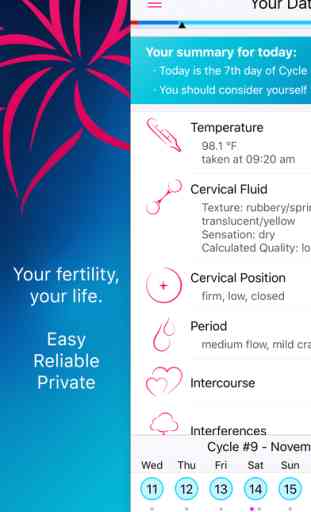 Lily - Your Personal Fertility Calculator 1