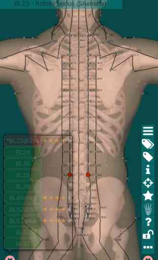 Massage Map 3D Free 1