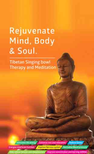 Mountain Tunes - Tibetan Singing Bowl Therapy and Meditation 1