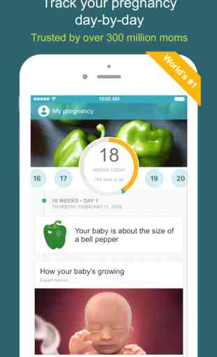 My Pregnancy & Baby Today Daily Calendar & Tracker 1