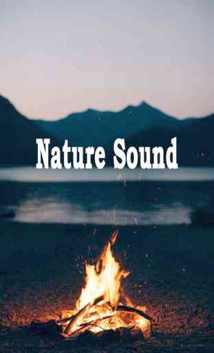 Nature Sounds - Nature Music, Relaxing Sounds 1