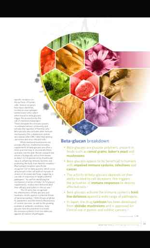 Optimum Nutrition Magazine 4